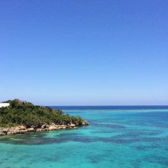 Meet your Posher, Karen - Picture 1 of 1